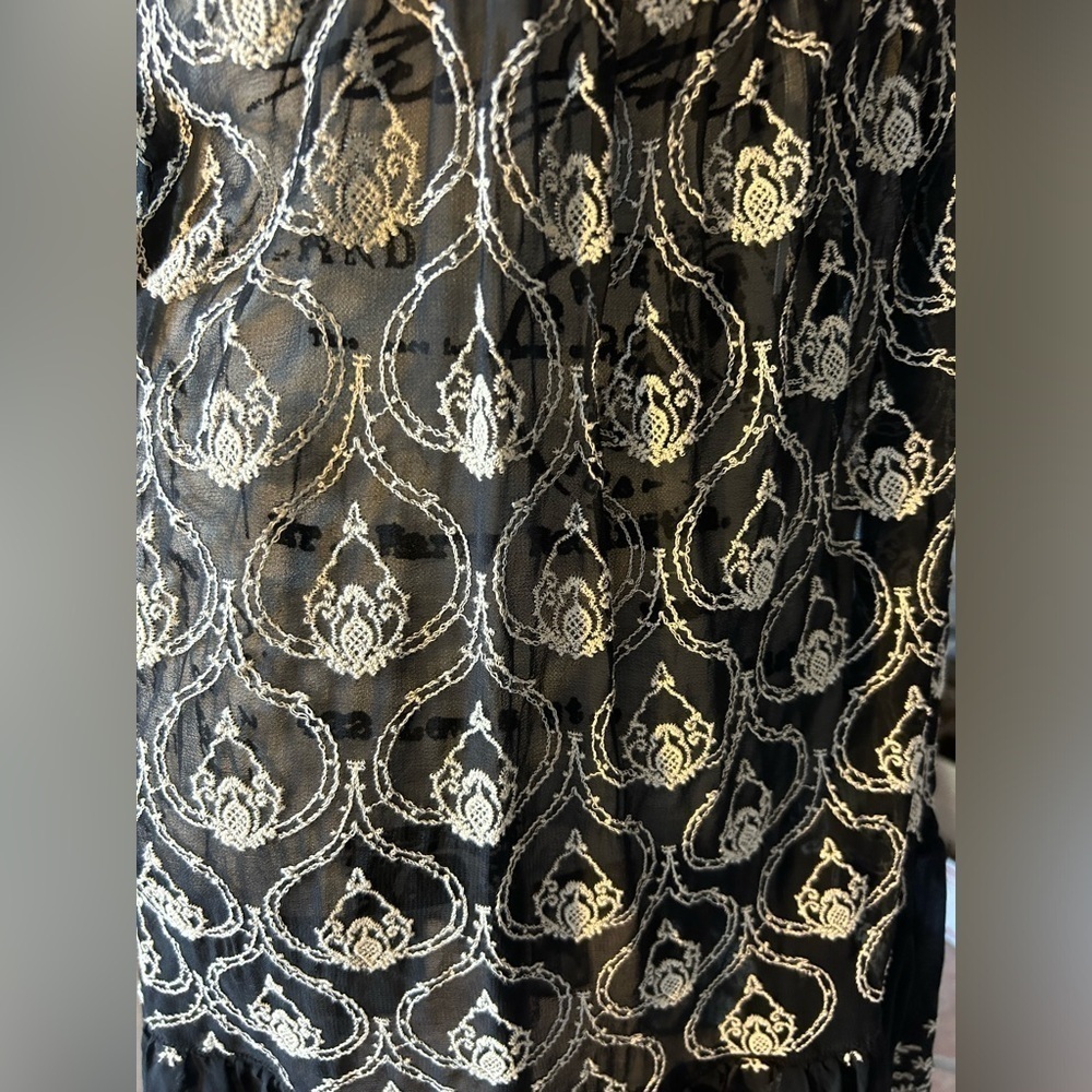 Anthropologie Sheer Embroidered Mini Dress - Picture 7 of 9